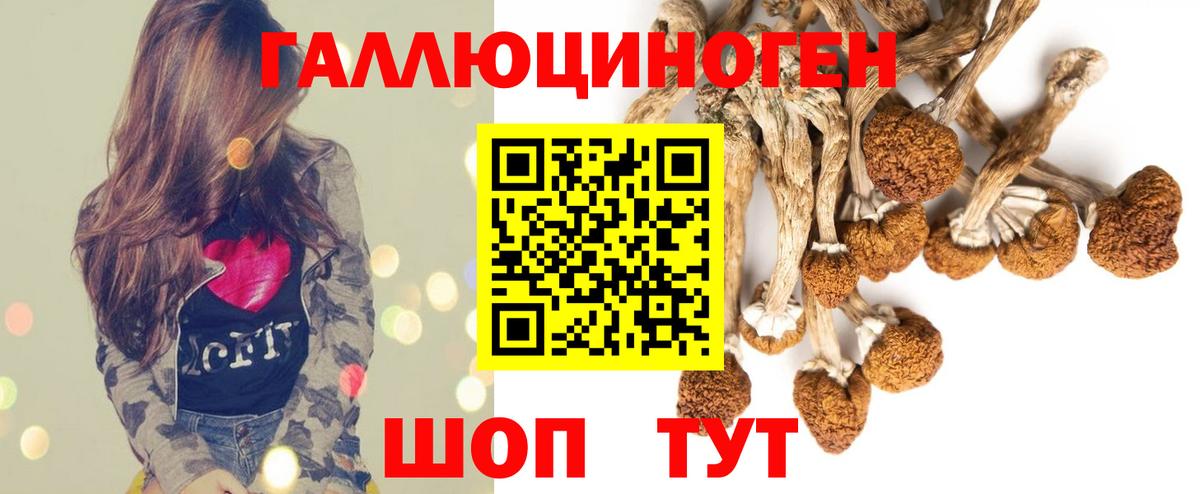 Codein Алексеевка