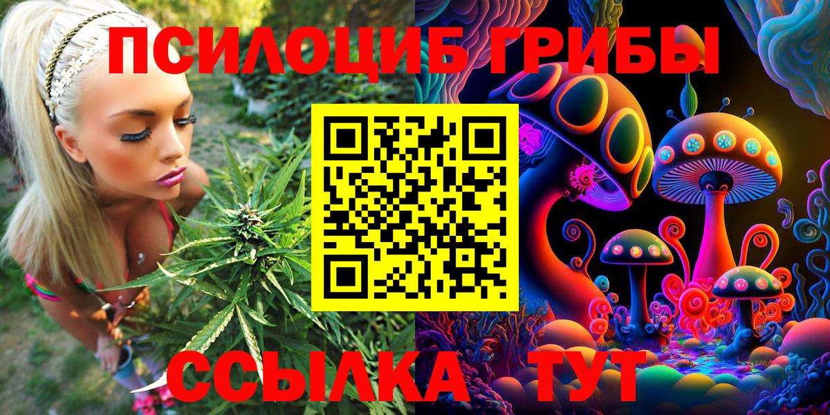 Алексеевка  Псилоцибиновые грибы Cubensis  Вход с VPN 